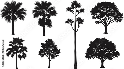 Tree silhouette collection, palm trees and deciduous trees, tropical forest vector design, black nature icons, landscape illustration, eco natural art
