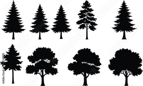 Tree silhouette collection, pine and deciduous tree vector set, black forest design, natural landscape illustration, eco nature artwork