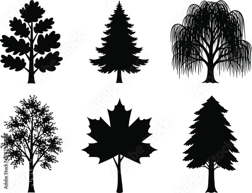 Tree silhouette set with oak, pine, maple, willow, birch, and spruce shapes, black vector nature illustration collection art