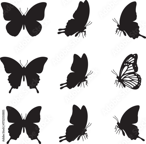 Butterflies' Silhouettes: A collection of delicate butterflies, captured in graceful silhouettes against an open canvas, each one showcasing its unique form and elegant posture.