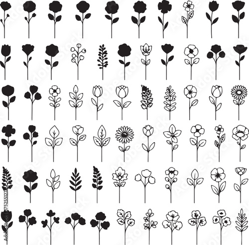 Floral Symphony: A collection of elegant, minimalist flower illustrations in a monochromatic style, showcasing a diverse array of botanical forms and design