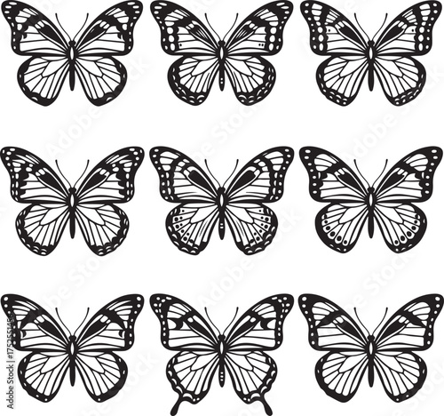 Butterfly Array: A striking artistic presentation features a symmetrical arrangement of delicate butterfly illustrations, perfect for design projects. 