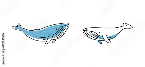 Set of Minimalist Whale Marine Mammal Line Art with Blue Color Accent, Hand Drawn Ocean Wildlife Illustration
