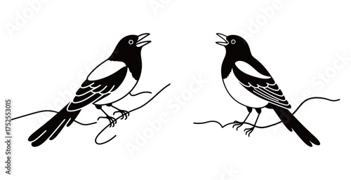 Wallpaper Mural Set of Minimalist Black and White Magpie Bird Line Art, Hand Drawn Wildlife Illustration Torontodigital.ca