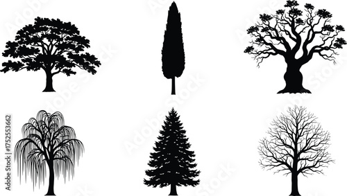 Tree silhouette vector illustration collection, diverse canopy and branch structures, decorative botanical artwork, abstract forest design, nature elements for landscape, ecology and environmental
