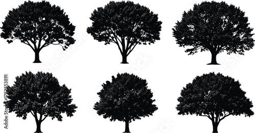 Tree silhouette vector illustration collection, diverse canopy and branching patterns, decorative botanical artwork, abstract forest design, nature elements for landscape, ecology and environmental