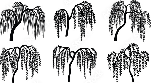 Willow tree silhouette vector set, black isolated botanical illustration, drooping branches, nature elements, forest design, decorative foliage, landscape art bundle