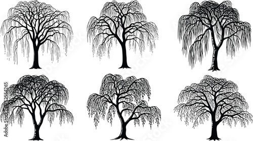 Willow tree silhouette set, black and white vector illustration, drooping branches and foliage, artistic botanical design, minimal nature elements, landscape art