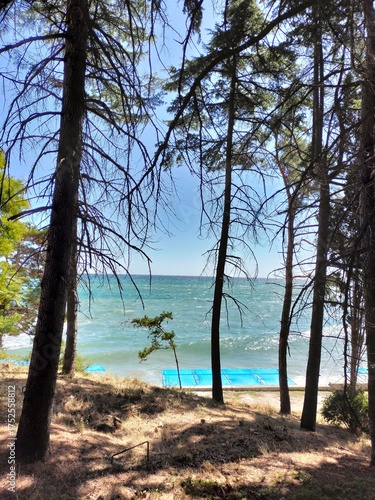 Wallpaper Mural homemade cakes. cookies on a platter in close-up. cooking. beautiful background, mountain landscape, nature Torontodigital.ca