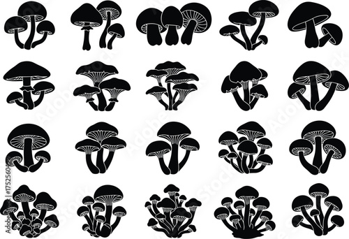 Collection of diverse black silhouette mushroom clusters and individual fungi on a white background organic forest elements