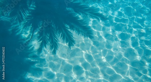 Tropical pool water with palm tree shadow summer