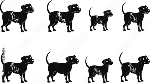 Cartoon dog anatomy illustration, side profile vector, skeletal structure comparison, veterinary concept, pet health, educational animal graphic for stock content