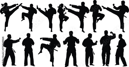 Martial arts silhouette, karate poses, taekwondo kicks, self defense training, combat stances, black belt action, fighter movement, dojo discipline