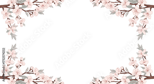 Delicate pink cherry blossoms bloom on tree branches forming a decorative border.