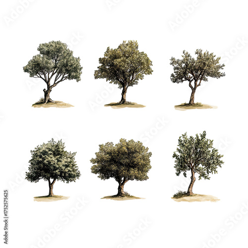 Six trees, arranged on dark ground. Tree-like shapes