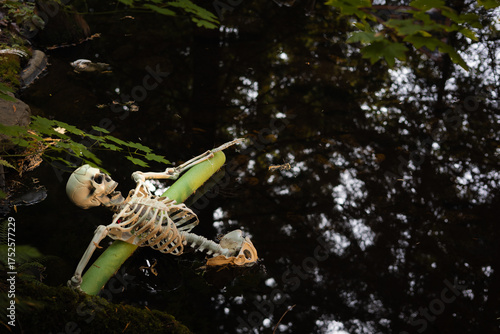 Skeleton floating with a pool noodle