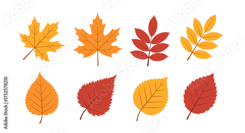 A collection of colorful autumn leaves in warm shades of yellow red and orange.