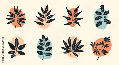 Abstract organic shapes with stylized tropical leaves in a boho minimalist aesthetic.