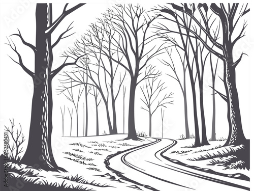 Winter Forest Landscape Sketch