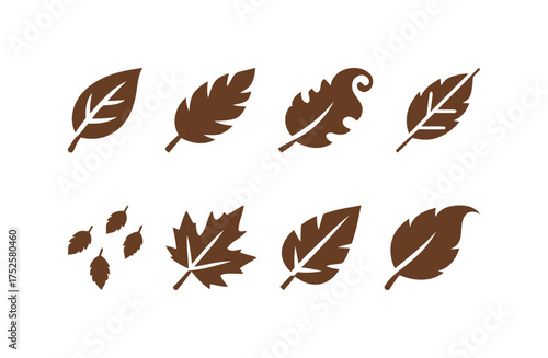 Autumn and Fall Leaf Vector Icons Set. Nature, Seasons, Harvest, Ecology, Seasonal Decorations.