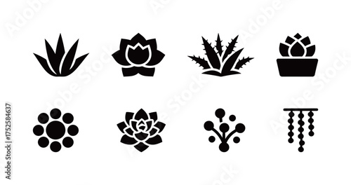 Black/White Succulent and Agave Icons Set (Rosette Shapes, Spiky Leaves). Desert Flora, Botanical Elements, Xeriscaping, Minimalist Home Decor. Solid Glyph.