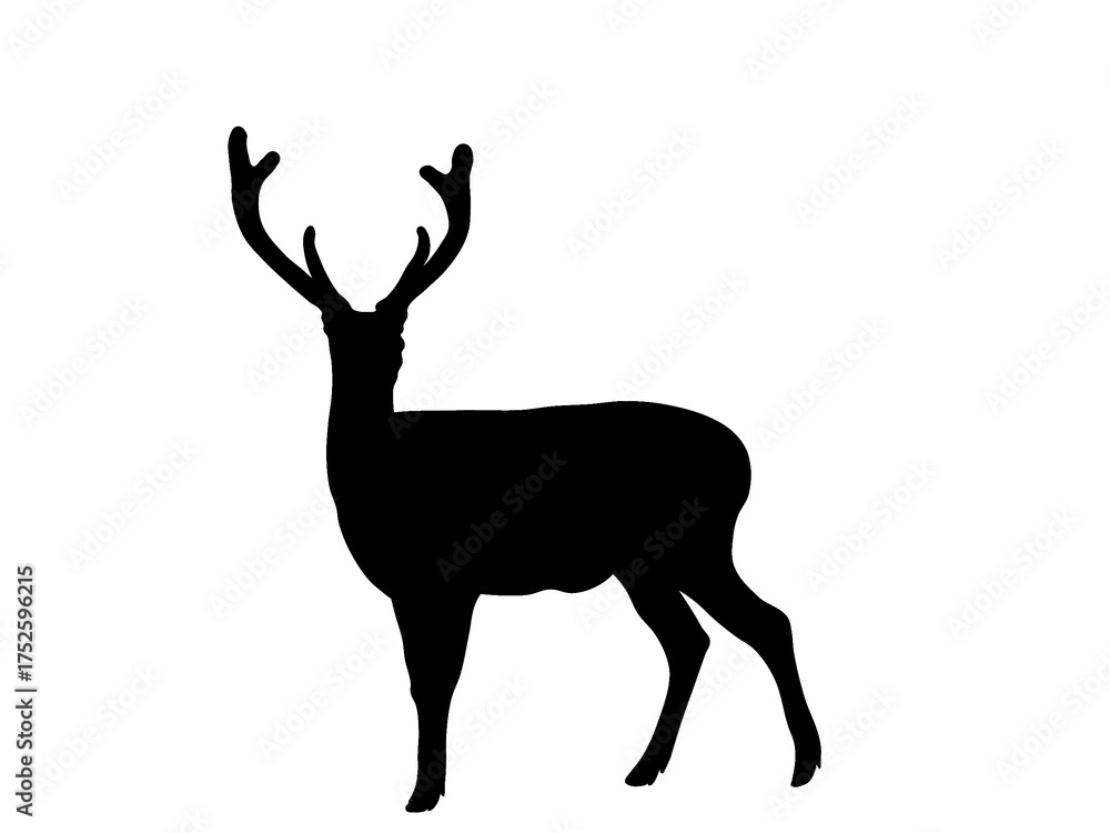 Obraz premium Black deer