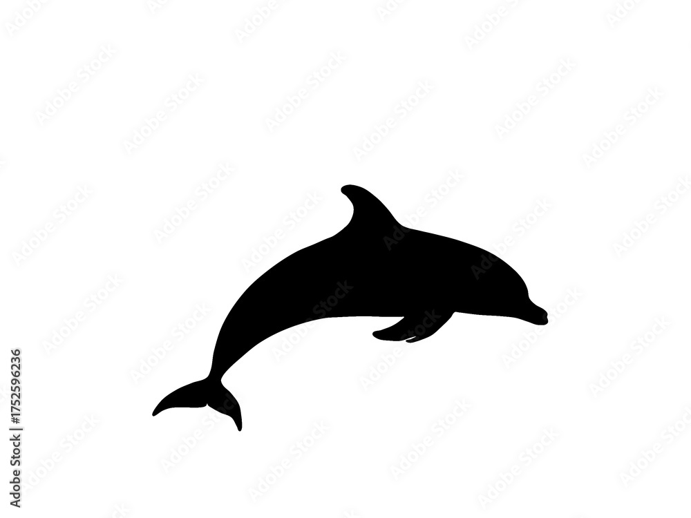 Fototapeta premium Black dolphin jumping