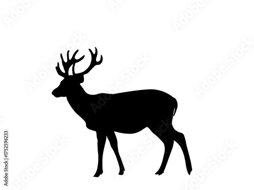 Black deer walking