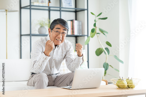 リビングでパソコンを使うシニアの男性