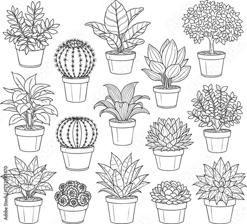 A collection of handdrawn potted houseplants in a black and white line art style featuring various cacti succulents and leafy plants.