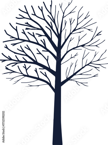 Bare Tree Silhouette