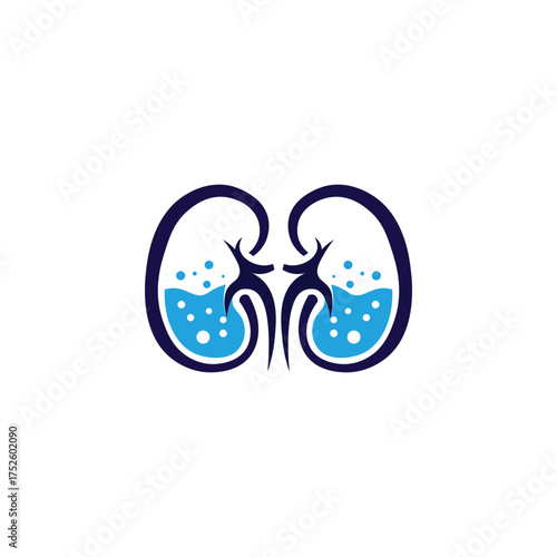 Illustration of kidney with liquid for medical use