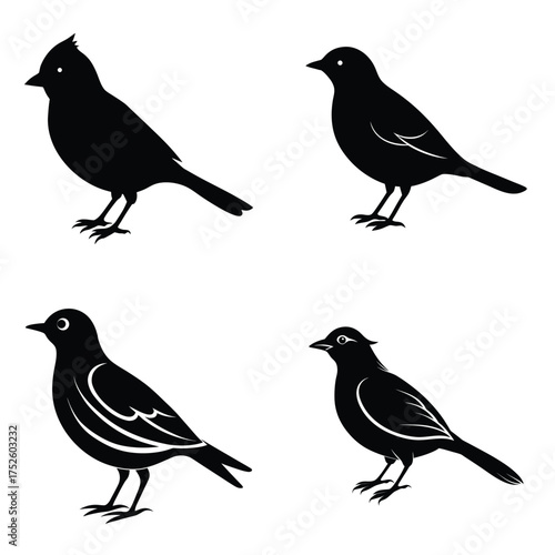 Set of Four Stylized Black Bird Silhouettes