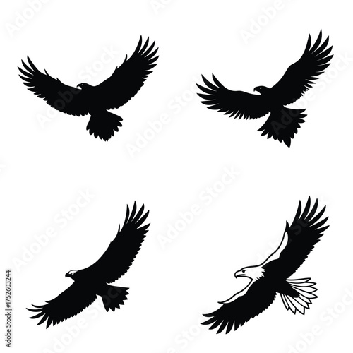Set of Black Eagle Silhouettes in Various Flight Poses