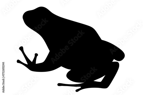 Black silhouette of frog in crouching position