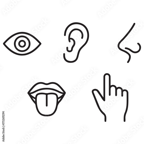 Five human senses vector illustration