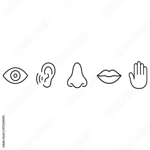 Five human senses vector illustration
