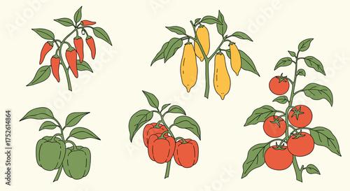 A collection of five different kinds of fruits and vegetables growing on their plants.