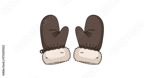 A pair of warm brown winter mittens with fluffy white trim are shown on a white background.