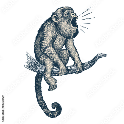 Detailed ink illustration of a howler monkey sitting on a tree branch on white background. Suitable for wildlife art, nature prints, posters, and educational materials.
