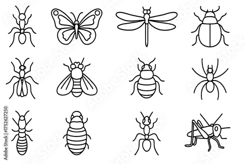 Insect icon set big collection. Bug line art symbol illustration. Simple minimal pictogram pack. Ant, bee, butterfly, spider, beetle, fly, dragonfly, grasshopper vector.