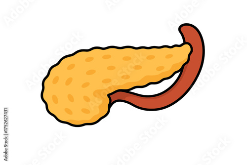 Pancreas and duodenum icon. Human internal organ cartoon vector illustration. Anatomy, digestive system, biology symbol. Medicine, health care, endocrinology graphic element.