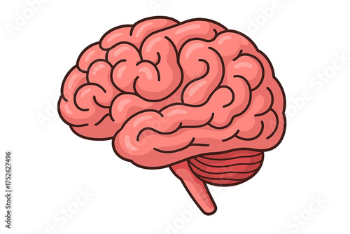 Human brain icon cartoon style. Mind, thinking, intelligence concept. Psychology, neurology, mental health symbol. Anatomy organ vector illustration isolated for stock design.