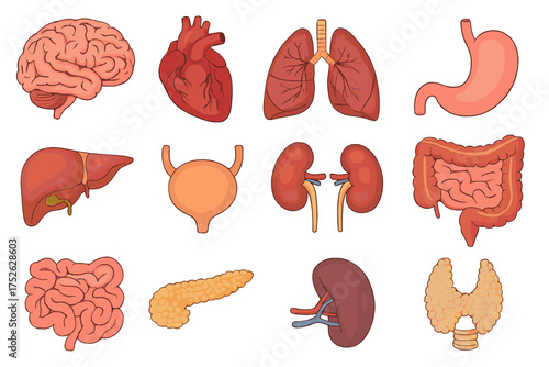 Wild West Cartoon Style Icons Set, Big Collection of Vector Wild West Symbols, Transparent Background, Vintage American Frontier Illustration, Western Theme Elements