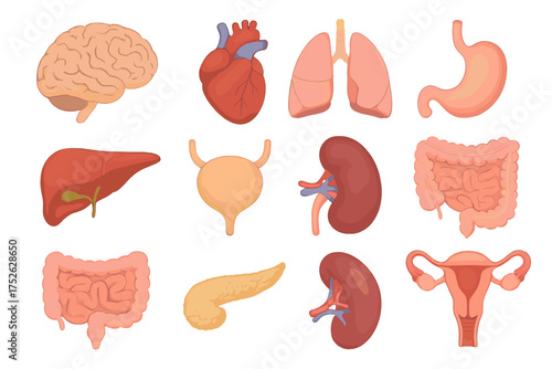 Wild West cartoon style icons set, vintage western vector symbols collection, transparent background graphics, cowboy culture illustration, retro American wild west theme