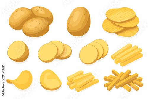Potato realistic vector illustration set. Raw vegetable food ingredient for cooking. Whole, sliced, cut potatoes for french fries and crispy wavy potato chips. Snack food icon.