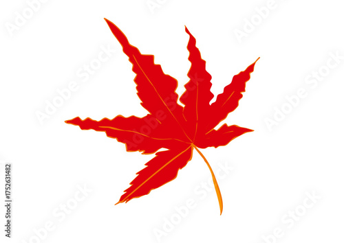 モミジ単体・一葉・一枚の葉