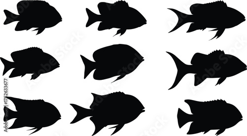 Fish silhouettes collection isolated on white background, black aquatic animal shapes vector set, marine life illustration, underwater wildlife design elements