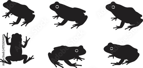 Frog silhouettes collection, amphibian vector set, frog shapes in different poses, black animal design, wildlife illustration, nature frog clipart art