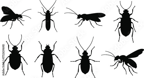 Insect silhouettes collection, beetles, wasps, bugs, and flying insects vector illustration, black insect shapes, entomology design for science art